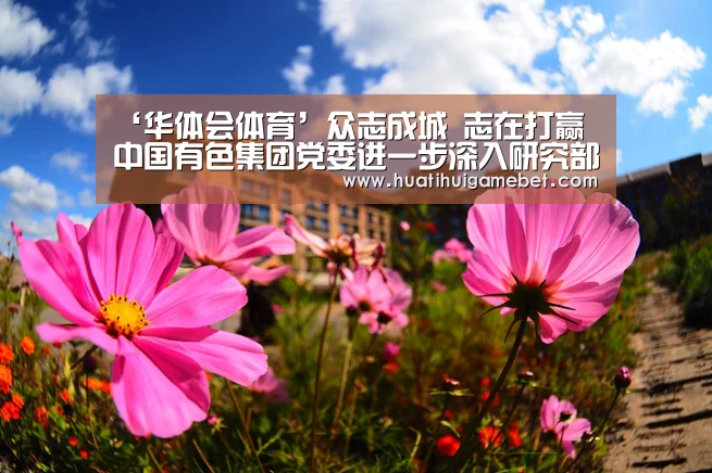 华体会赛事